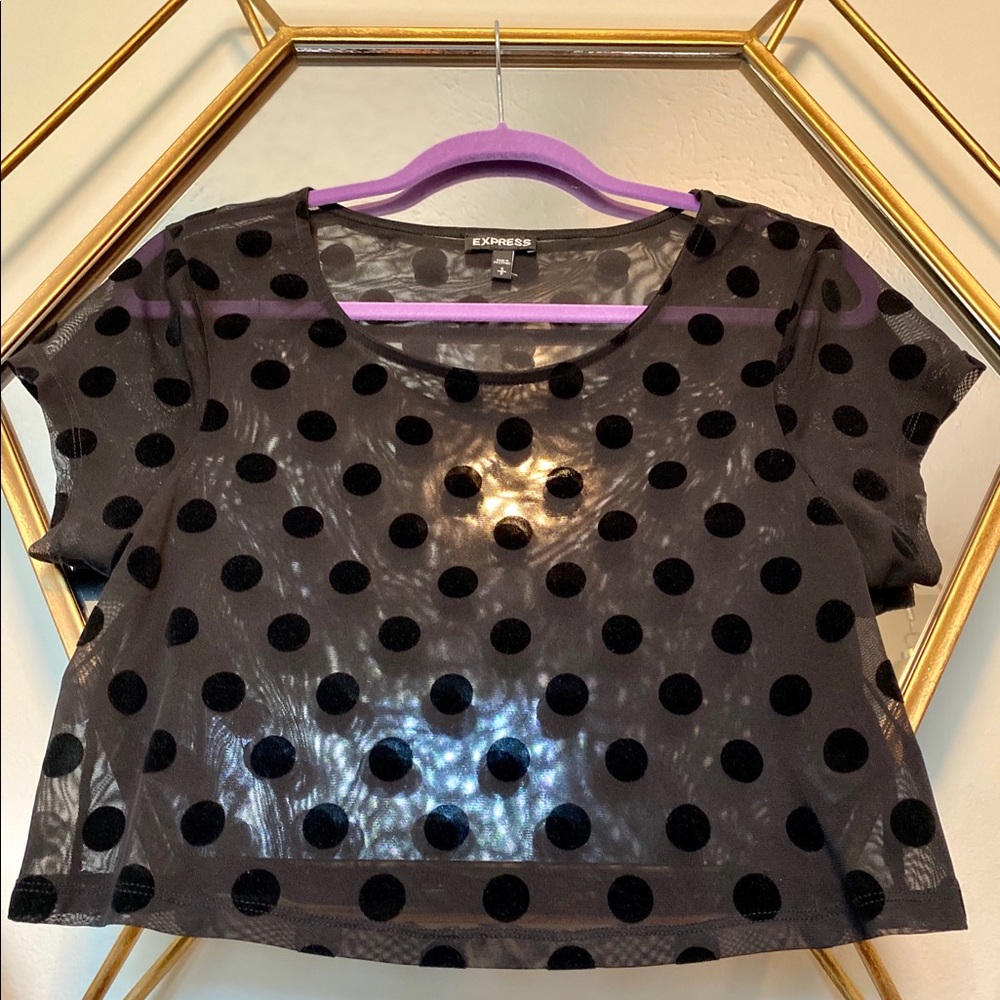 Small Express sheer black crop top w polka dots